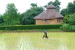 Clay-House-Thailand-01