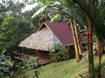 wood-house-in-tropical-forest-10