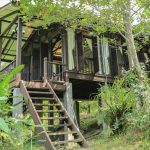 traditional-wooden-house-of-asian-feature