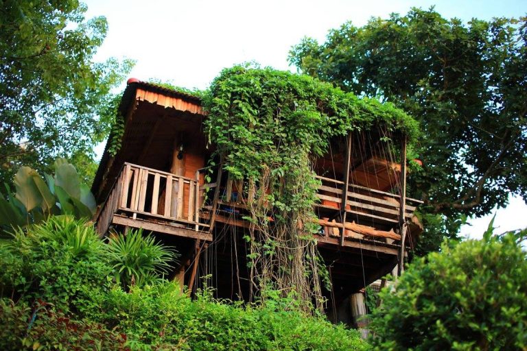 รีสอร์ทกระท่อมไม้ มีระเบียงชายคาด้านหน้า ปกคลุมด้วยไม้เลื้อยร่มรื่น